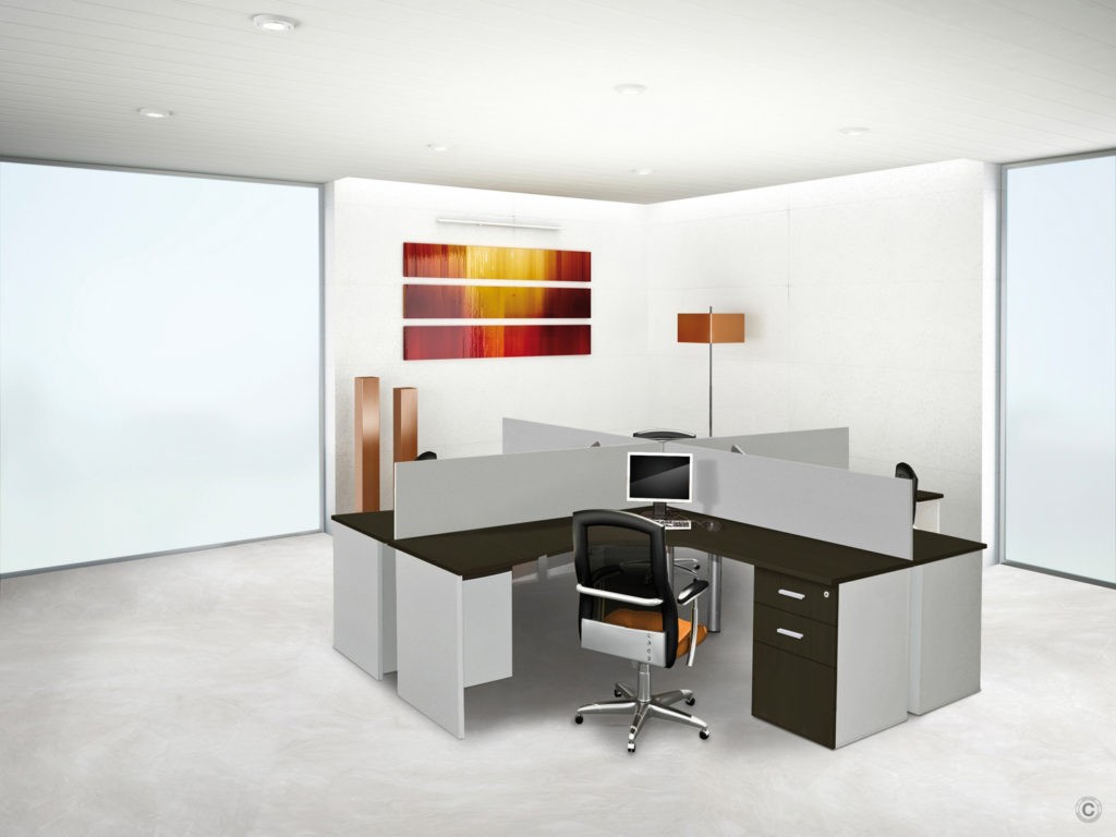 Puestos de trabajo